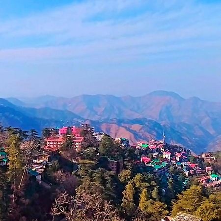 The Travelista Shimla Bed & Breakfast Dış mekan fotoğraf
