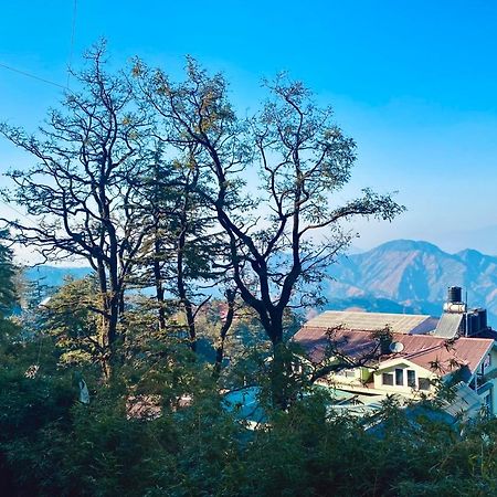 The Travelista Shimla Bed & Breakfast Dış mekan fotoğraf